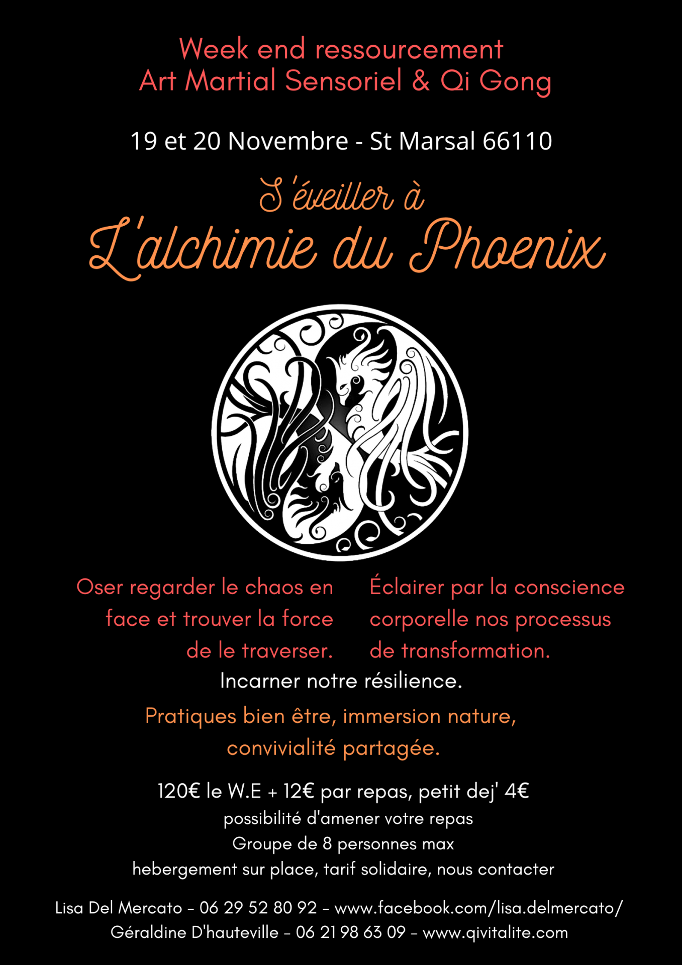 S eveiller a l alchimie du phoenix