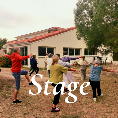 4 stage