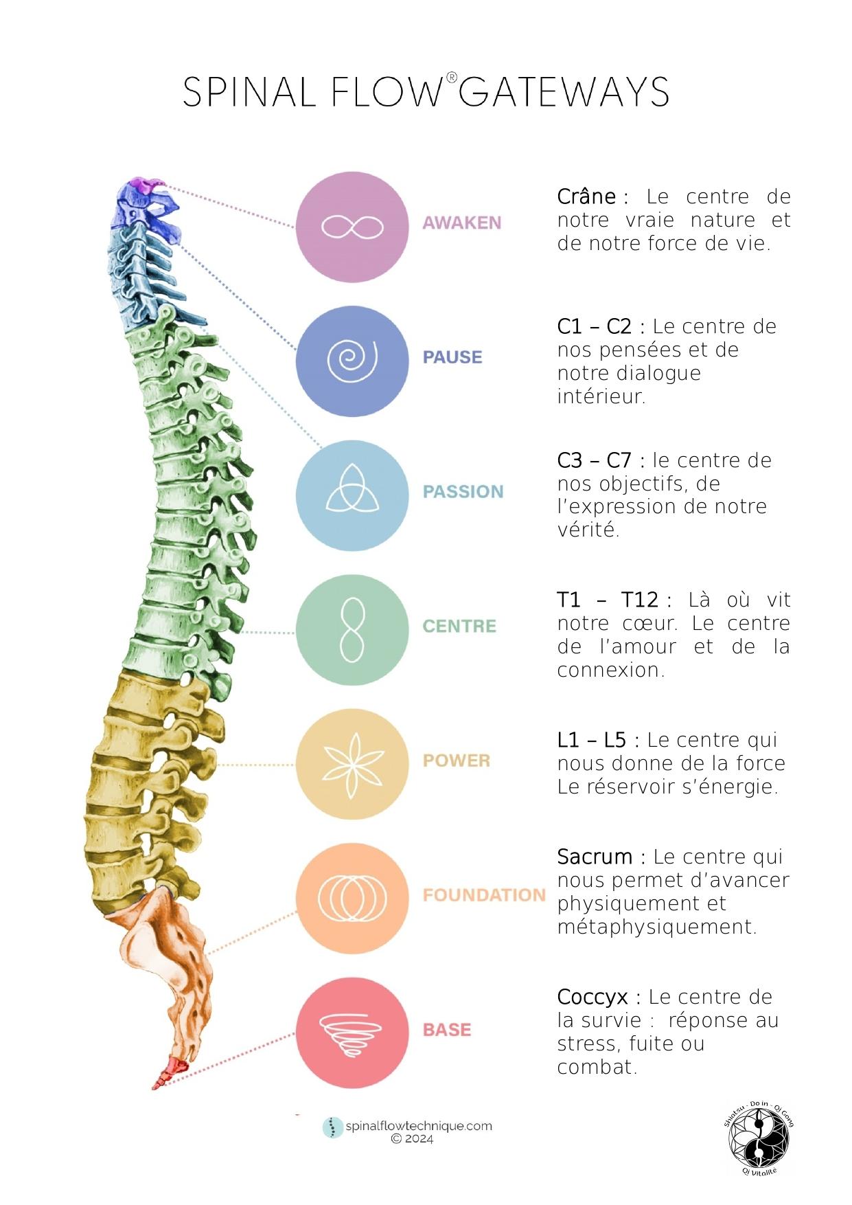 Chart spinal flow francais page 0001