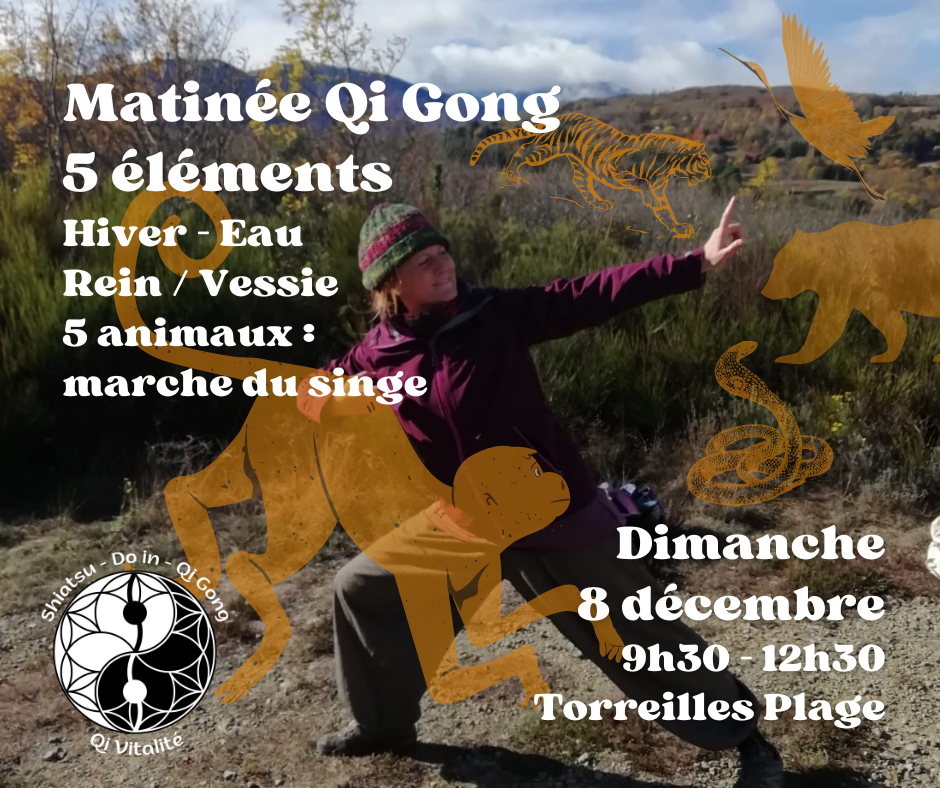 Dimanche 8 decembre 9h30 12h30 torreilles plage 5