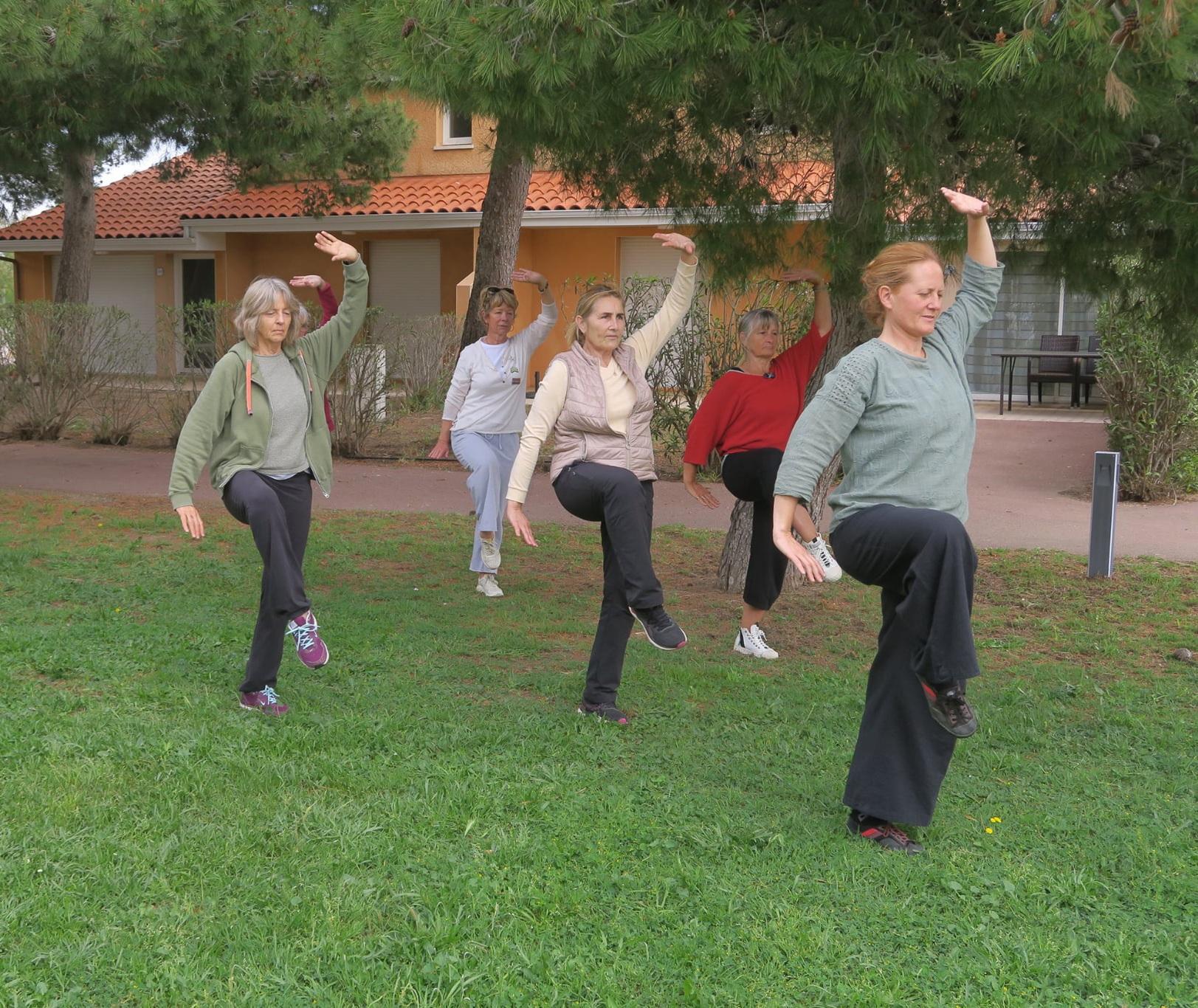 Qi gong perpignan grue